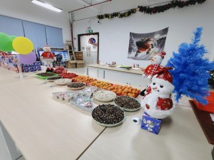 “多國風(fēng)采、別具風(fēng)格”的的圣誕節(jié)活動